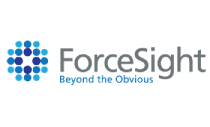 Force Sight - Qik.Digital - Digital Marketing Services