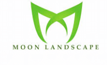 Moon Land Scape - Qik.Digital - Digital Marketing Services