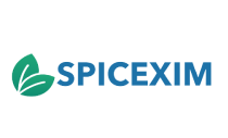 Spicexim - Qik.Digital - Digital Marketing Services