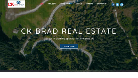 CK Brad Real Estate -Web Development Services - Qik.Digital